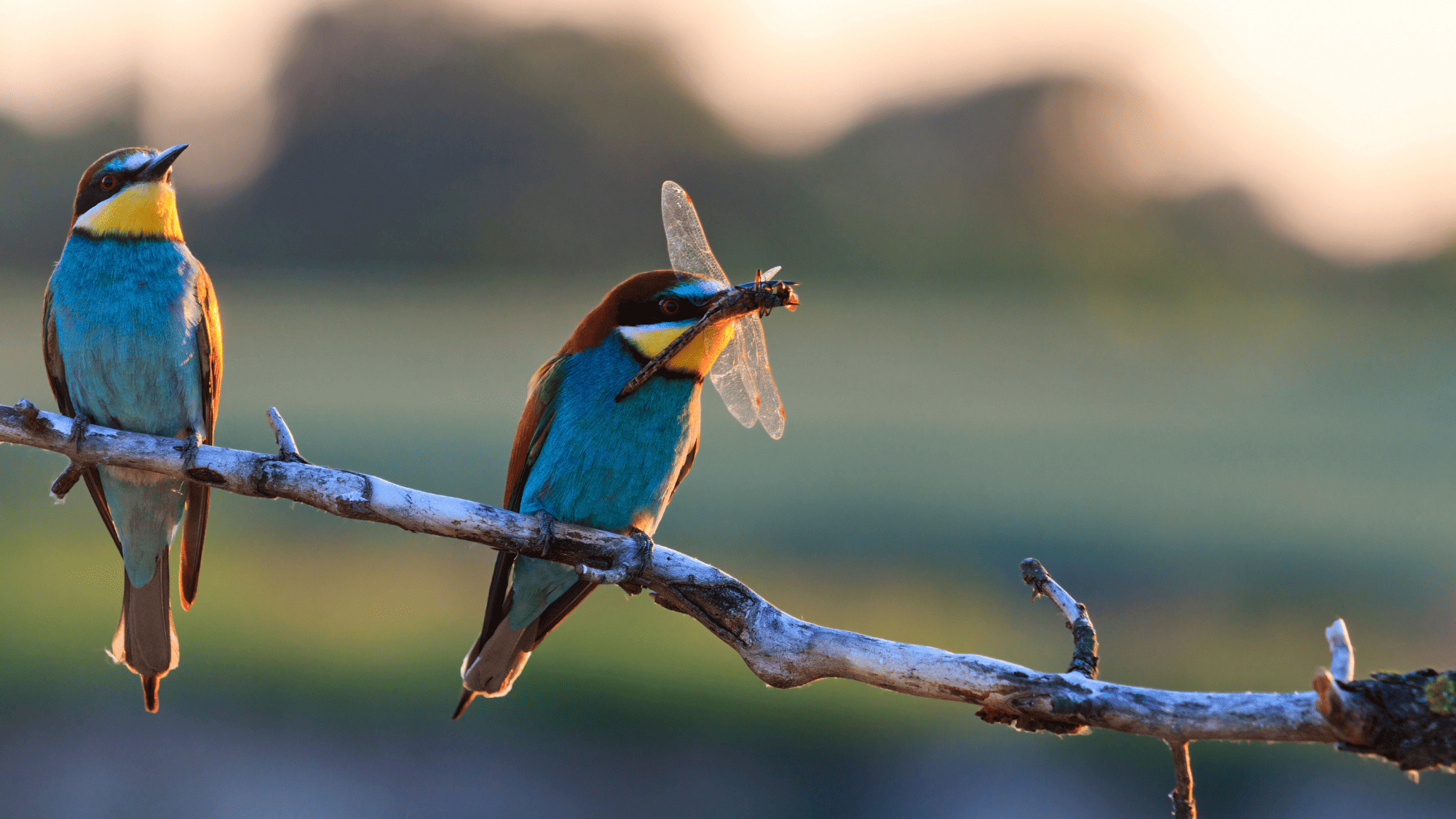 biodiversità aziende