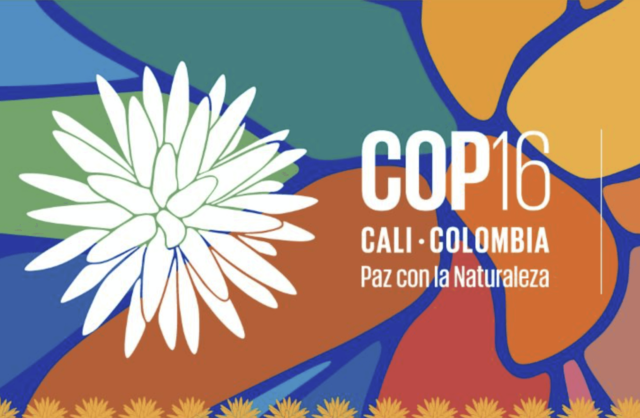 COP16 persa l’occasione?