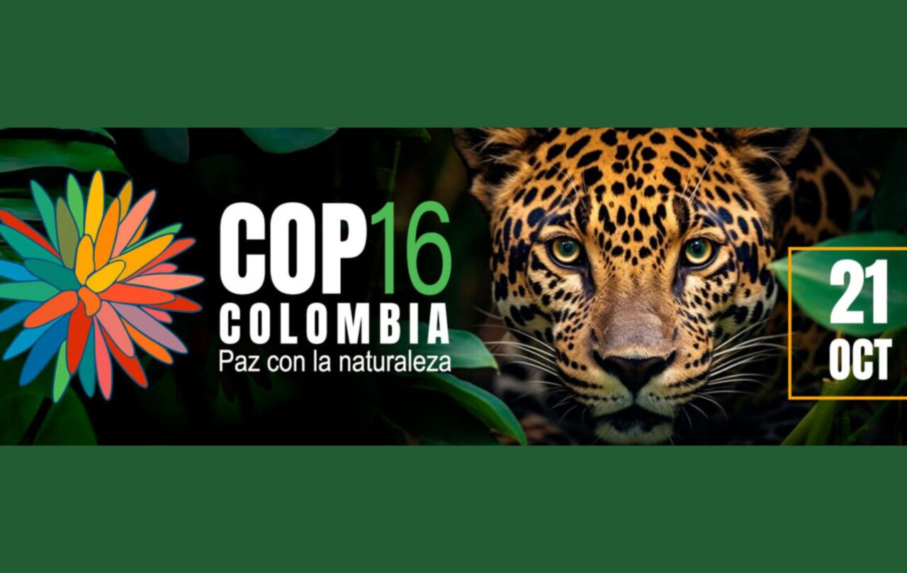 COP16 Biodiversità: un appuntamento importante per la salvaguardia degli ecosistemi globali