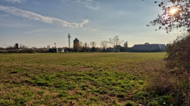 Bergamo, forestazione urbana a favore della Biodiversità