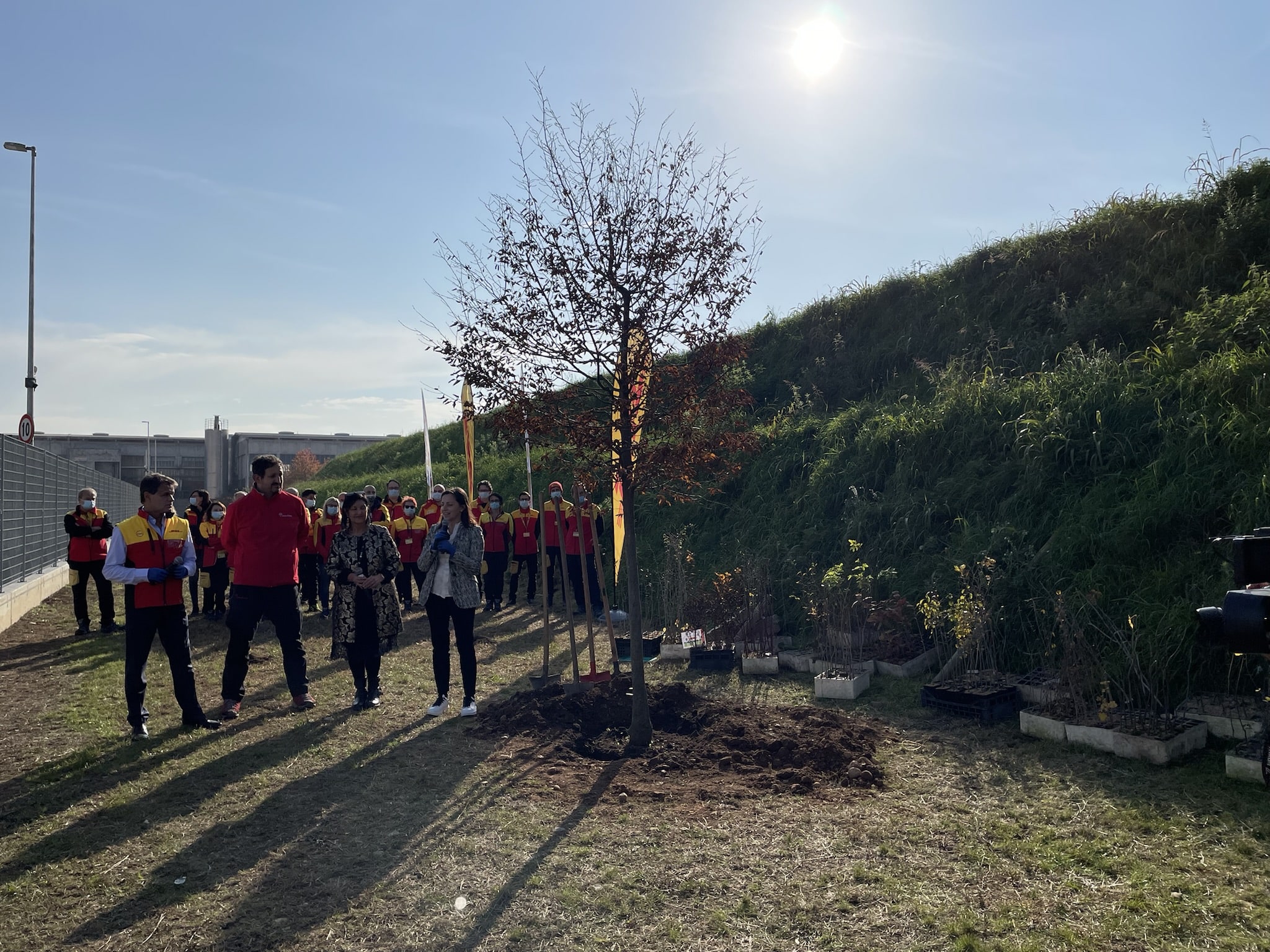 Forestazione Urbana: Alberi A Muggiò (MB) | Rete Clima