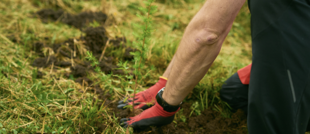 TECNE: indicazioni geografiche ed operative  per evento di forestazione a Roma