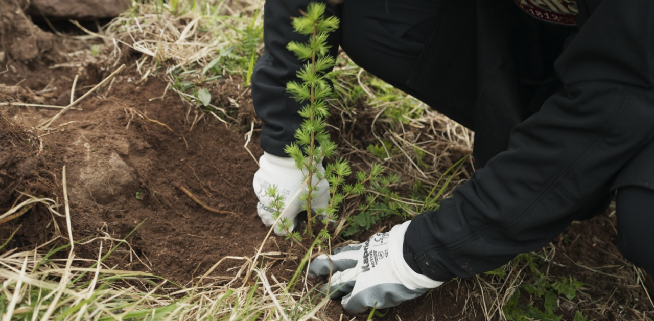 Intesa Sanpaolo: indicazioni geografiche ed operative per evento di forestazione presso il Parco Regionale della Valle del Lambro