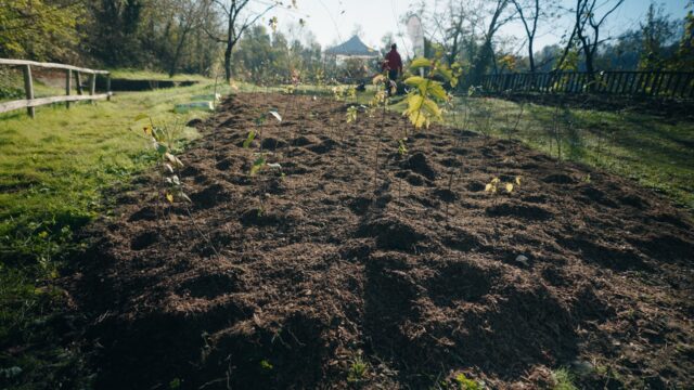 Parco della Valle del Lambro: progetti per la tutela degli ecosistemi forestali