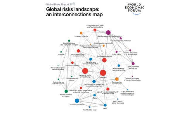 Global Risk Report 2025: rischi principali legati a eventi meteorologici estremi, perdita di biodiversità e crollo degli ecosistemi