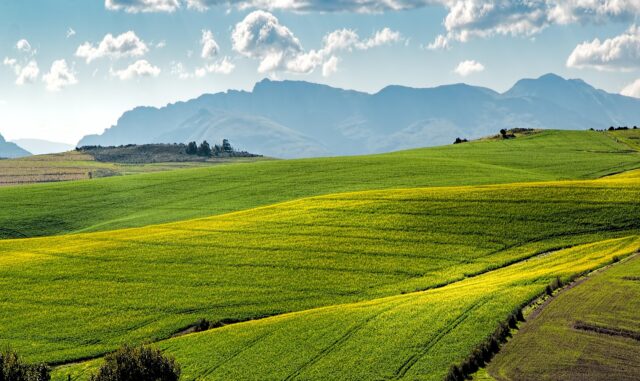 Carbon farming: crediti di carbonio in agricoltura, per agricoltori e aziende agricole