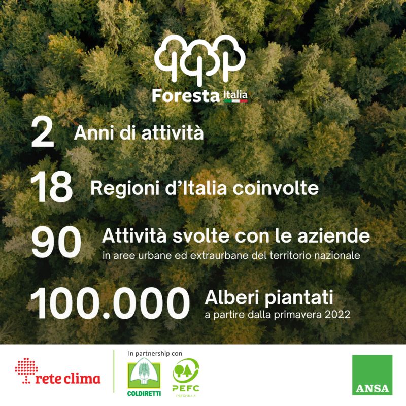 foresta-italia