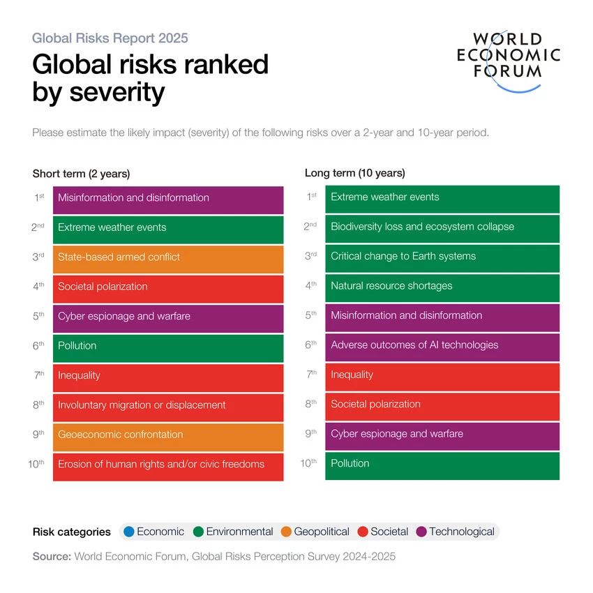 global risk report 2025